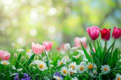 �t�͂������Ȑl��������...�H