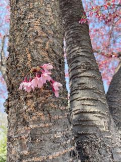 �ǂ�Ȃɐh�������������Ă��A�Ԃ��炭���͗��܂�