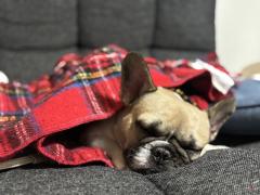 �����ɂ���♡