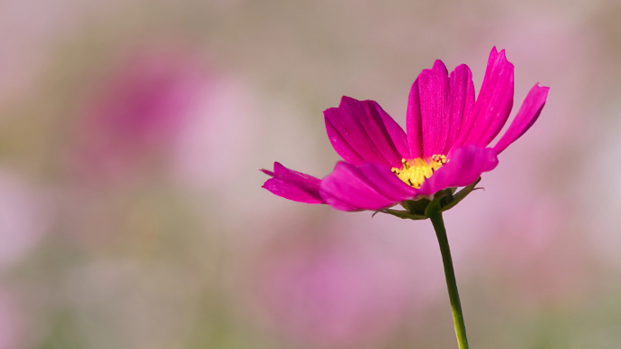 ���̕s���������Ɏ�菜���Ă���܂���