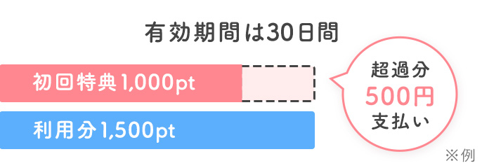 初回特典ポイントの利用例